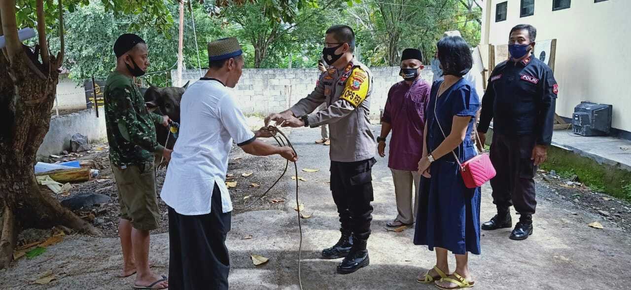 Kapolres Minsel Serahkan Hewan Kurban ke Panitia hari raya Idul Adha 1441 H, Masjid Al – Khafi Polres Minsel. Foto: istimewa.