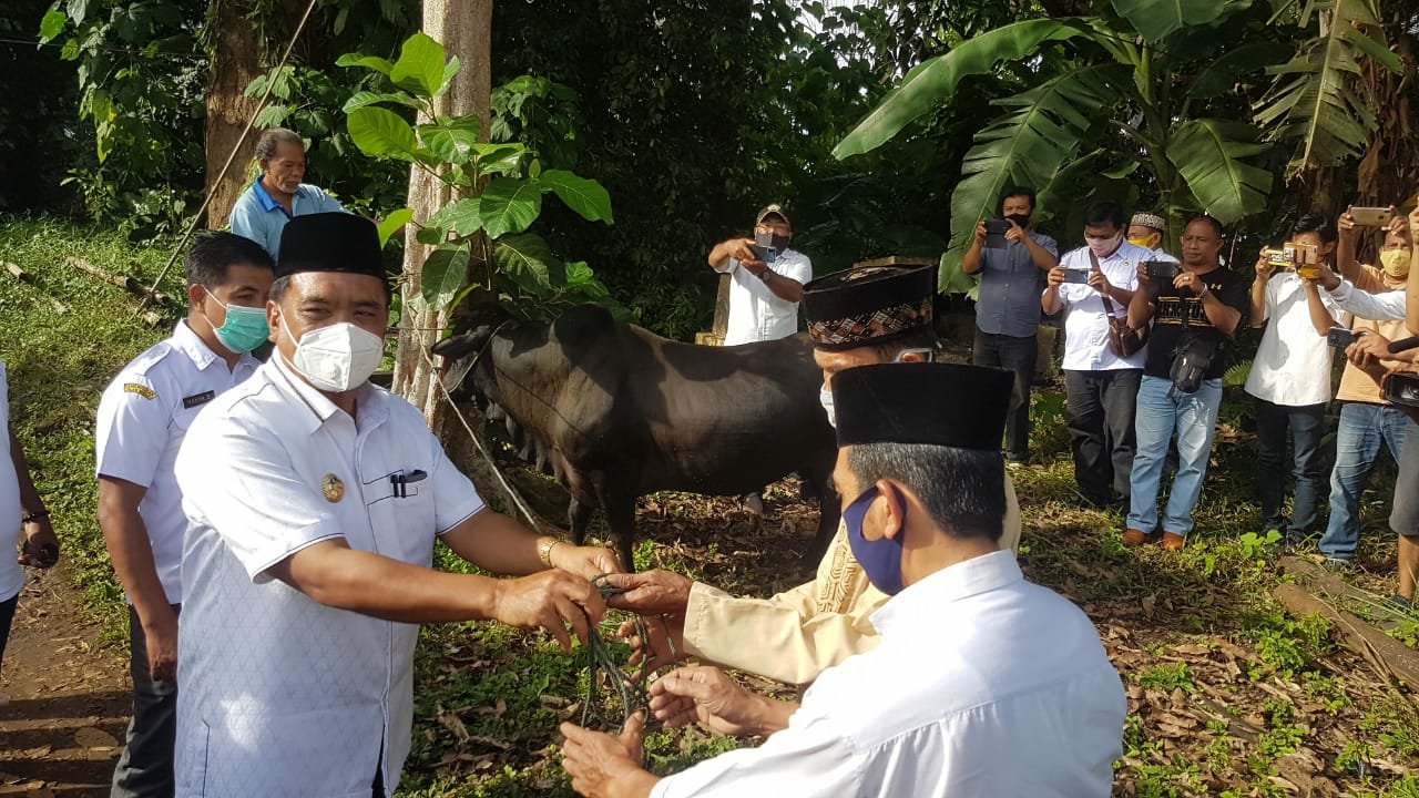 JEG Menyerahkan Hewan Kurban Secara Langsung, Kepada Imam Dan Pengurus BTM. Foto : Istimewa