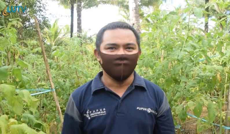 Ilustrasi Petani Muda Sukses. Foto: Lintas Utara.