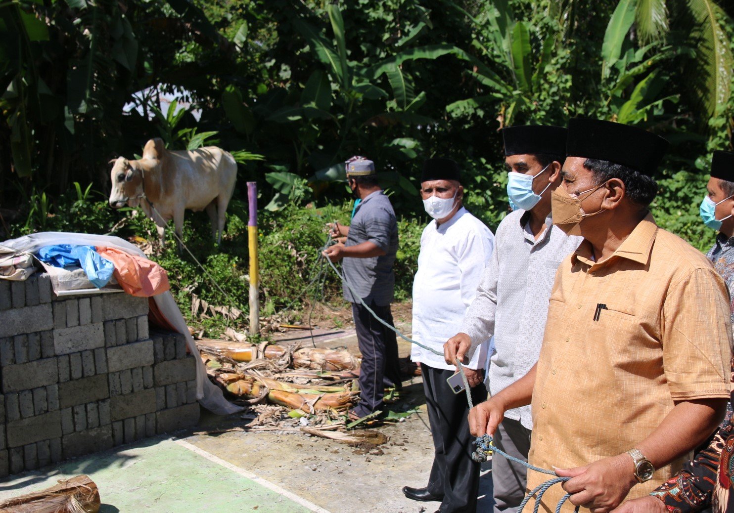 Bupati Kepulauan Sangihe Jabes Ezar Gaghana SE ME, Menyerahkan Secara Langsung Seekor Sapi Kurban Di Masjid Al Fajar Tarolang (Foto : Ist)