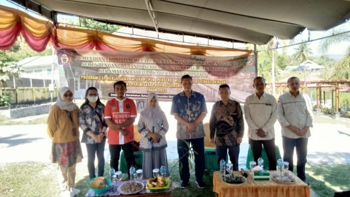 penanaman pohon pln