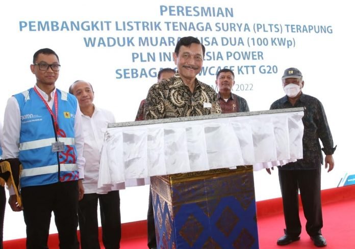 Luhut