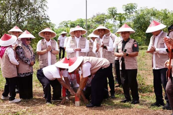 Batas Bidang