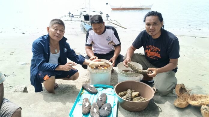 Laut